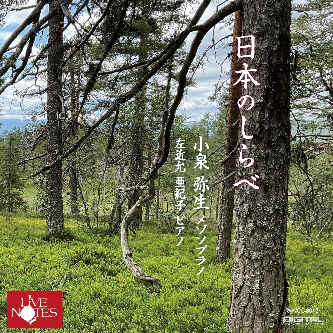 Yayoi Koizumi Japanese investigation From Japan CD 21tracks
