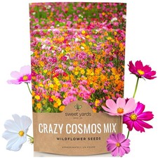 Colorful Cosmos Mix - Bulk 4oz Bag - 20k Seeds - Wildflowers 175.96 per gallon