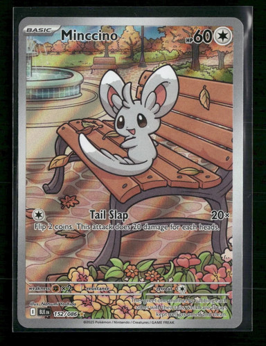 SV: Black Bolt Minccino #152/086