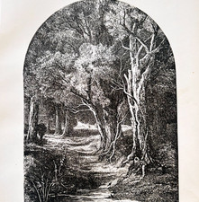 1871 William Cullen Bryant Wood Engraving A Forest Hymn Victorian Art F17B