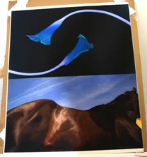 SIGNED Hilton Brothers "Valencia" Makos Solberg – Modern Fine Art Photograph