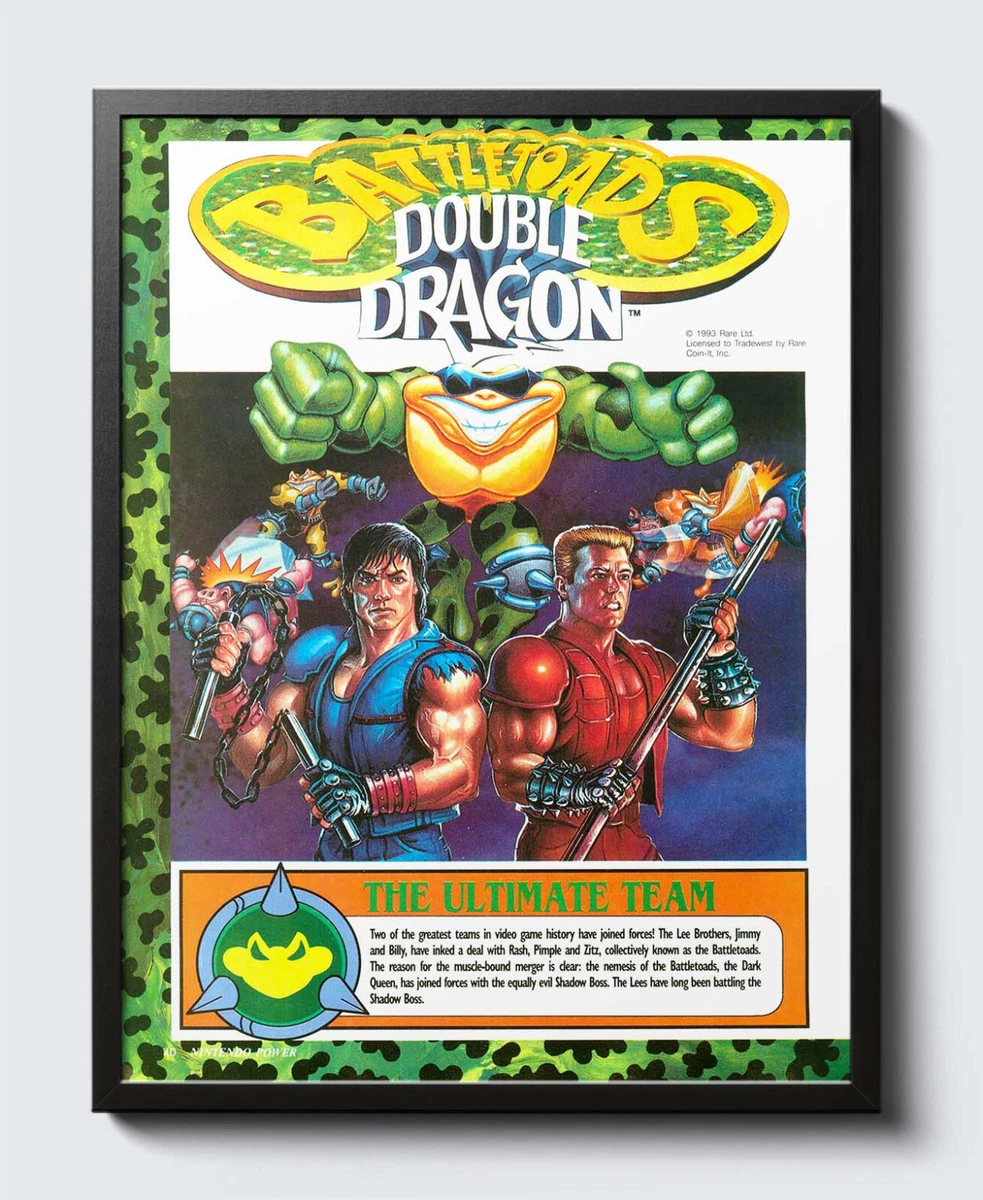 Battletoads Double Dragon SNES Sega Genesis Glossy Promo Poster