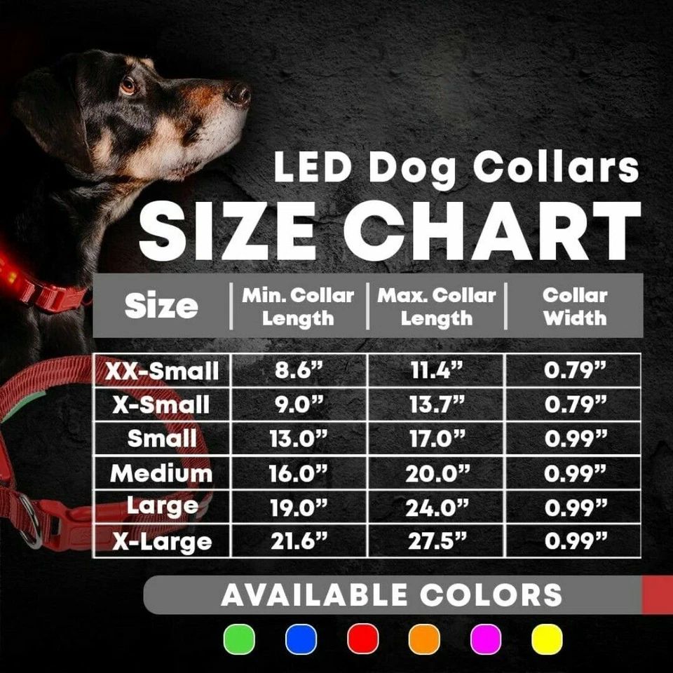Light up LED Dog Collar Flashing USB Rechargeable Pet Safety Luminous ALL SIZES - Image 4 of 4