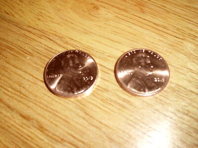 2019 P+D Lincoln Shield Cent Penny from BU Rolls Free Shipping!