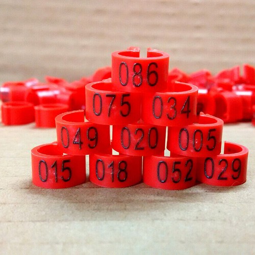 100 Pcs Chicks Rings Clip Poultry Leg Band Bird Pigeon Parrot 1-100 Numbered 8mm - Picture 13 of 17