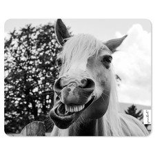 Mauspad lustiges Pferd I 24 x 19 cm I fun Mousepad mit Qualitätsdruck I dv_1267