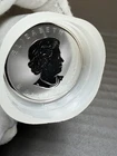 25 Coin Lot ROLL 1988-2026 1 Oz Maple Leaf Silver .999 Round Canadian  $5