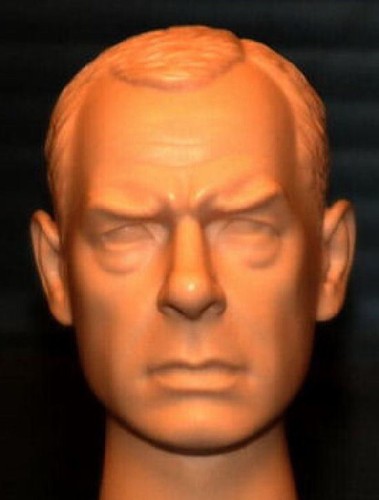 1/6 SCALE CUSTOM LEE MARVIN ACTION FIGURE HEAD! - 第 1/1 張圖片