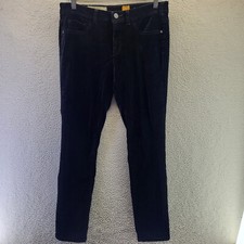 Anthropologie Pilcro and the Letterpress Serif Velvet Skinny Pants Womens 29