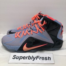 lebron james shoes 2014