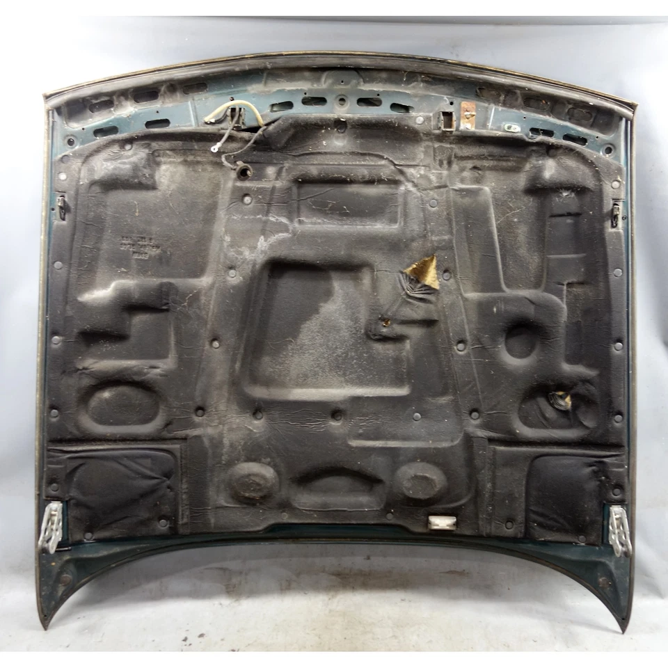 BMW E34 1991-1995 serie 5 rejilla estrecha capó delantero panel isla verde OE Foto 2 de 4