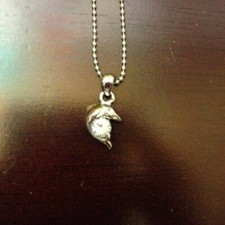 NWOT Shiny Dolphin Necklace