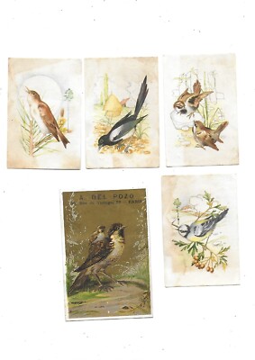 2 CHROMOS ANCIENS Hirondelles Colombes XIXè Birds Scrap Glanzbild $5.24