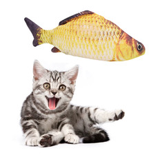 Cat Toys Fish USB Charger Fish Interactive Electric Floppy Fish Cat Toy Realisti