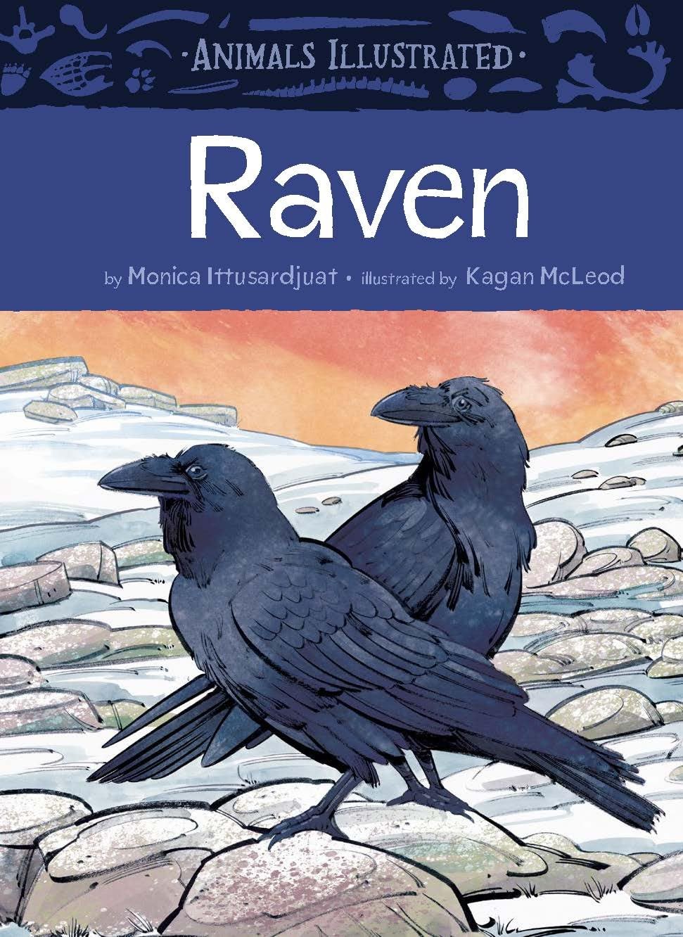 Animals Illustrated: Ravens: 11 (Animals Illust. Ittusardjuat, McLeod**