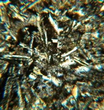 Thin-section Mount from DSDP Hole 170 Petrographic Microscope Slide 17-170-16-1