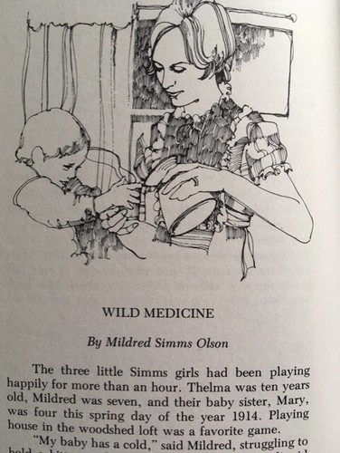 Book: LAND OF THE MULTNOMAHS- Stories of Oregon- 1973 1st Ed. History - Picture 7 of 12