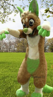 Husky Dog Fox Mascot Costume Long Fur Furry Costume Wolf Cosplay Fursuit #417