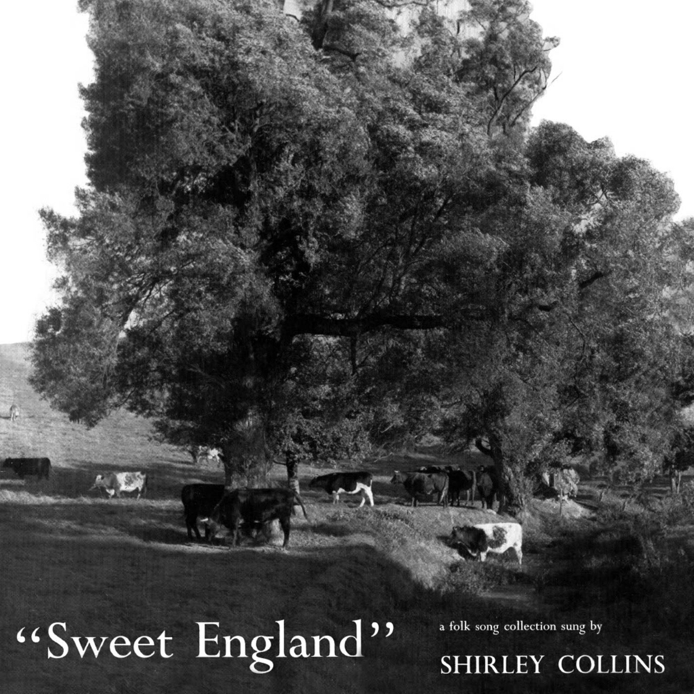 Shirley Collins Sweet England LP Vinyl MBS9 NEW