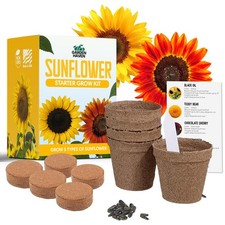 Sunflower Seed Growing Kit -All in One Sun Flower Garden Kit - A Complete Sun...