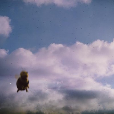 Zach Top - Pond - Stung! LP  RELEASE DATE 14/06/24 THIS CAN CHANGE! - E3447z
