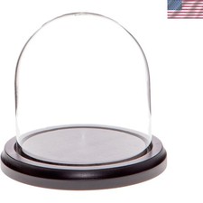 Luxury Glass Display Dome with Black MDF Base - Perfect for Showcasing Items