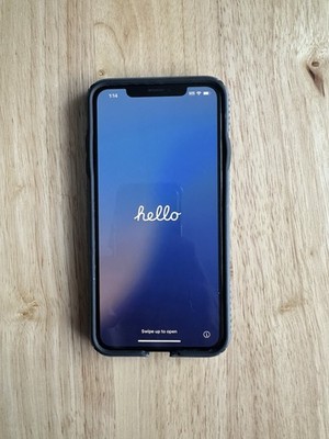 Apple IPhone XS Max  256 GB  Unlocked