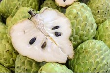 300 Cherimoya Seeds - 2026 Crop