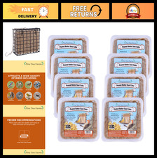 Peanut Butter Suet Cake for Wild Birds - 3 lb, Pack of 8, High Energy Treats