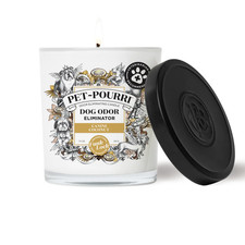 Pourri Dog Odor Eliminator Canine Coconut Candle