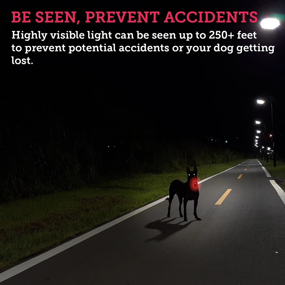 KONG 3 Pack LED Night Safety Light for Running Cycling Dog Warning Rechargeable - Image 4 of 4