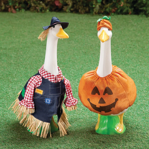 Vogelscheuche Outfit Kostüm für 23"H Gans Gone Viral Veranda Outdoor Garten Deko - Bild 2 von 7