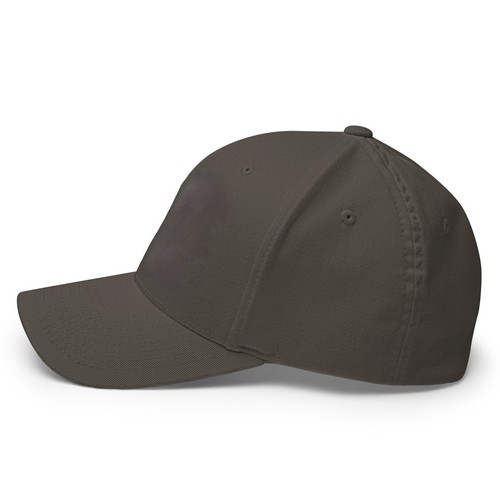 Area 51 UFO Fitted Baseball Structured Flexfit Hat for Men Women - Picture 44 of 64