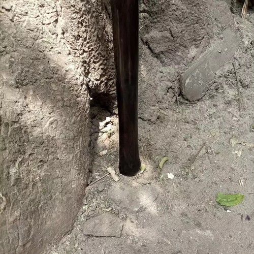On Sale African Pure Ebony Rosewood Traditional Walking Cane hiking stick | Stat - Picture 4 of 4