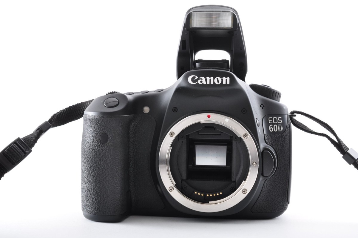 Canon EOS 60D / Zoom Lens EF-S 18-55mm f/3.5-5.6 IS