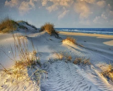 35" Fabric Panel | David Textiles Nautical Dunes of OBX Outer Banks Beach Scene