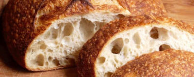 sourdough starter you cant handle this one dry yeast culture SOUR THE beast NEW