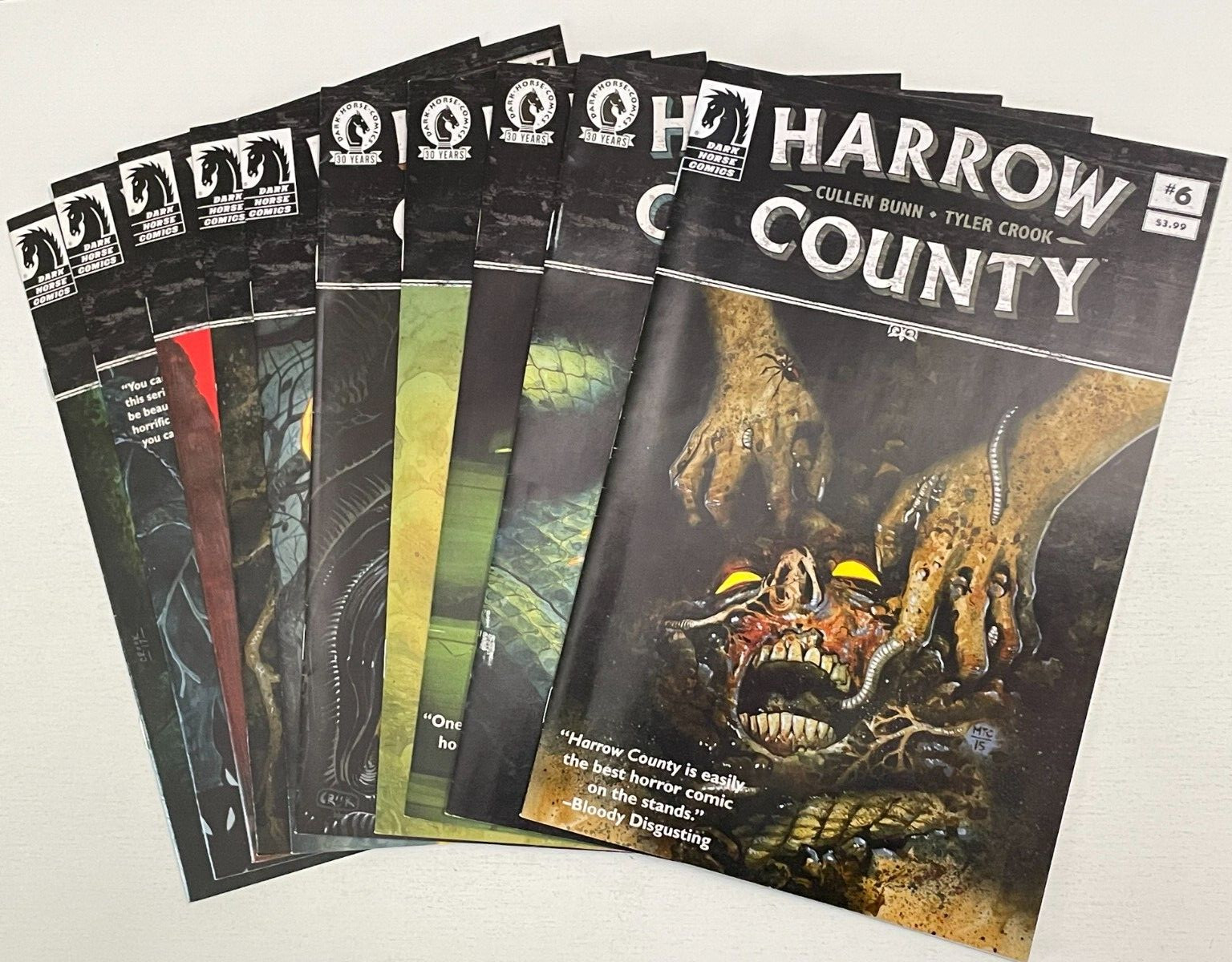 Dark Horse Comics HARROW COUNTY 10 BOOK LOT # 6-30 CULLEN BUNN VF/NM 2015