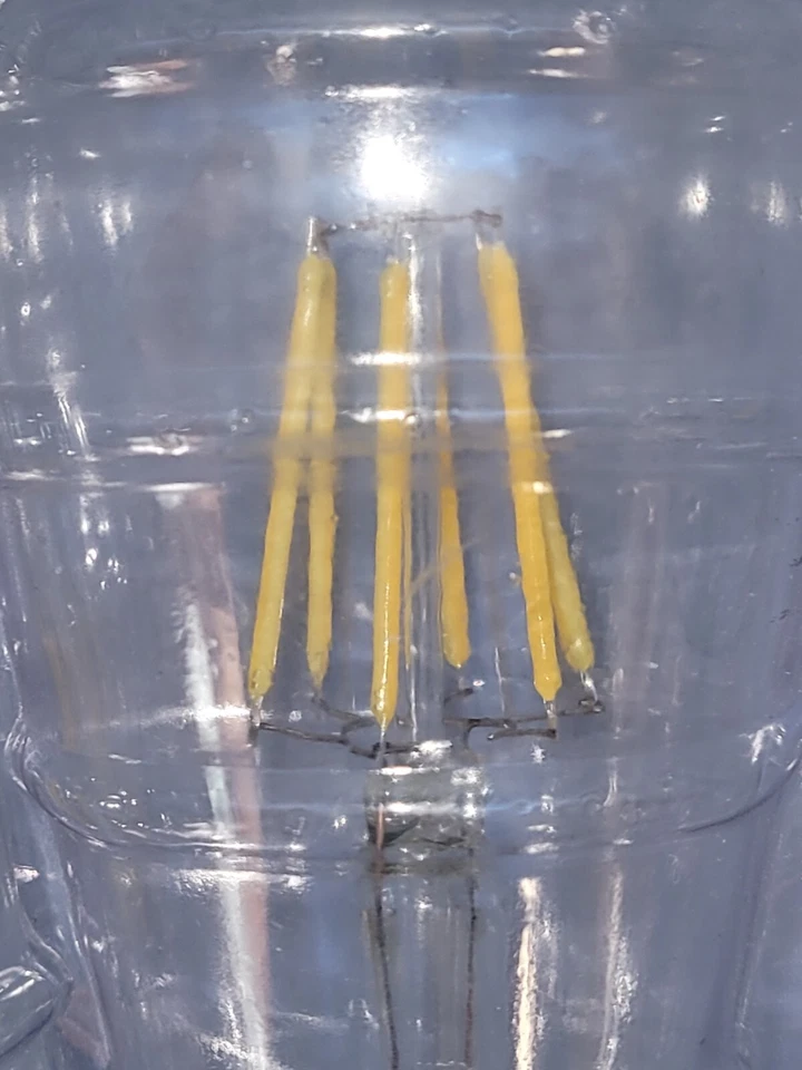 Ascher Edison Decorative Daylight White Bulbs Pack Of 3 New In Package - Image 2 of 4