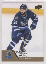 2020-21 Upper Deck AHL High Gloss 1/10 Nathan Todd #2 ek6