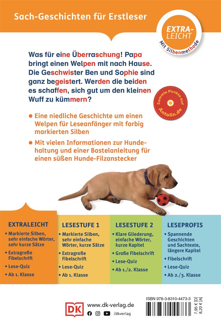 Bild 2 von 2