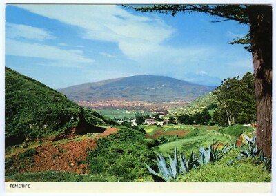 1980er AK La Laguna aus Mercedes Wald Teneriffa unbespielt Kanaren