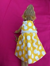 Bearded dragon Dresse EASTER Colleccion MADE IN USA