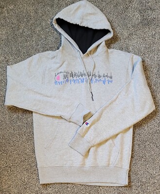 Champion shop hooded pullover sweatshirt, unisex, size youth XLG/ adult sm, gray