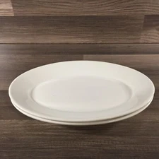 2 Homer Laughlin Best China Large Oval Serving Platter Restaurant Ware USA DDB-1
