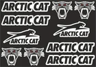 ARCTIC CAT Decal Set Sticker Vinyl Graphic Logo Adhesive High Quality 10 Pcs