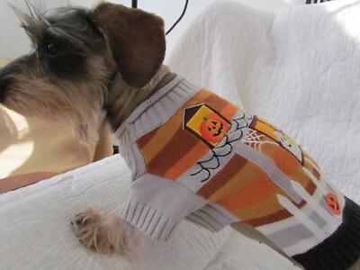 Designer Hunde-Pulli MICHAEL SIMON Helloween Kürbis - zauberhaft! GR. M orange