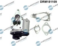 DRM181109 Dr.Motor Automotive Agr-Ventil FüR Renault