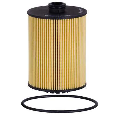 Engine Oil Filter-GAS, Natural Ecogard X10023