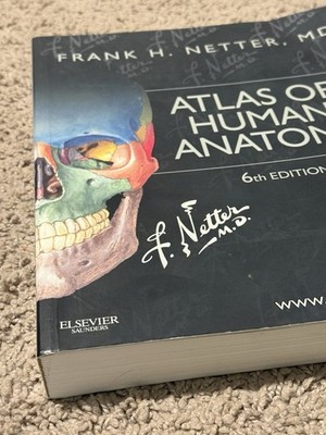 Atlas of Human Anatomy 6th Ed Including Student Consult Netter